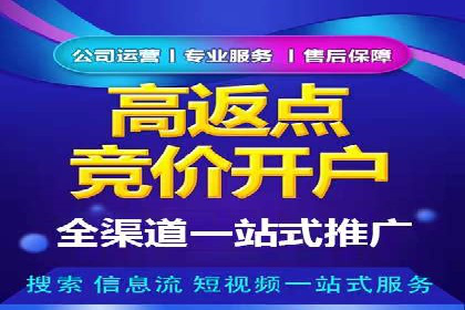 实战经验：竞价推广公司成功案例解析